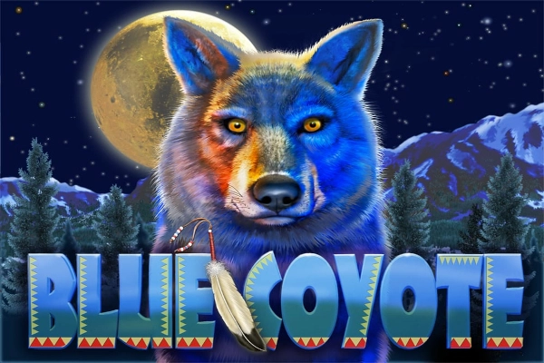 01107 blue coyote