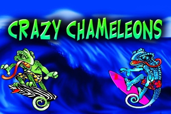 07817 crazy chameleons