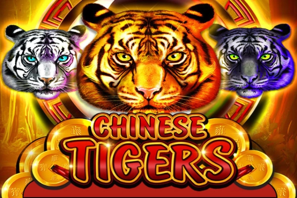 16217 chinese tigers