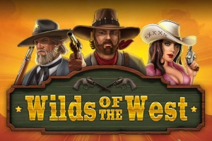 21021 wilds of the west