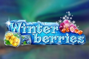 25583 winterberries